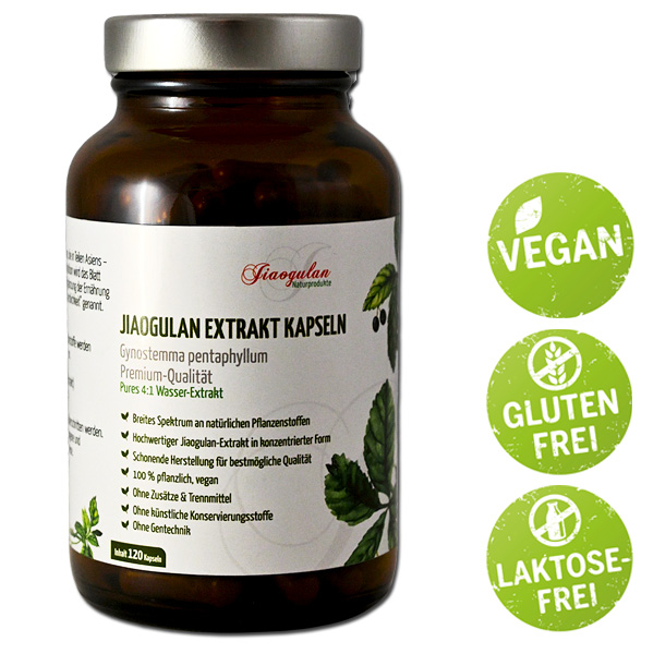 Jiaogulan-Extrakt Kapseln, Premium Qualität