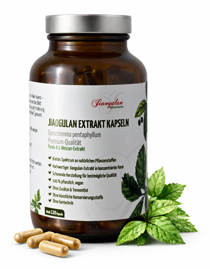 Jiaogulan-Extrakt Kapseln, Premium Qualität